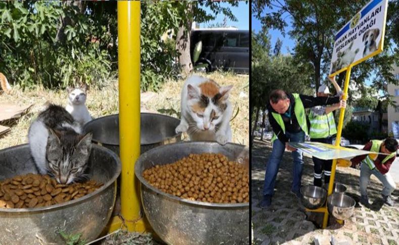 Buca'da 50 farklı bölgeye beslenme odakları